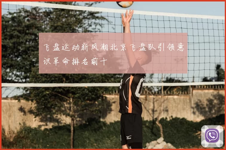 飞盘运动新风潮北京飞盘队引领意识革命排名前十