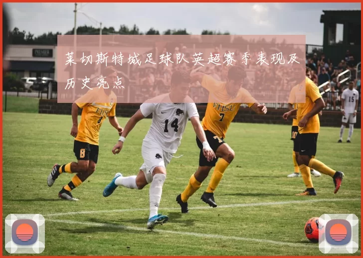 莱切斯特城足球队英超赛季表现及历史亮点