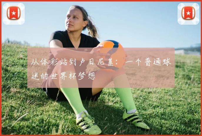 从体彩站到卢日尼基：一个普通球迷的世界杯梦想