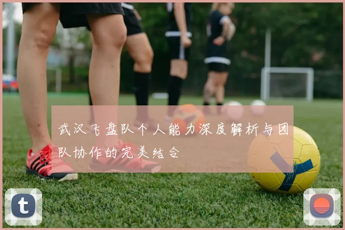 武汉飞盘队个人能力深度解析与团队协作的完美结合