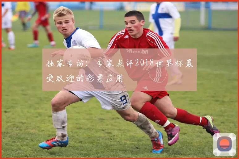 独家专访:专家点评2018世界杯最受欢迎的彩票应用