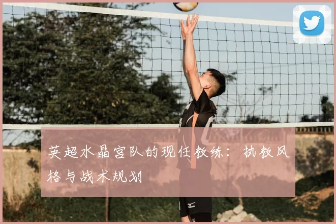 英超水晶宫队的现任教练:执教风格与战术规划