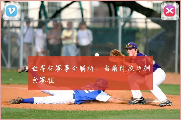 世界杯赛事全解析:当前阶段与剩余赛程