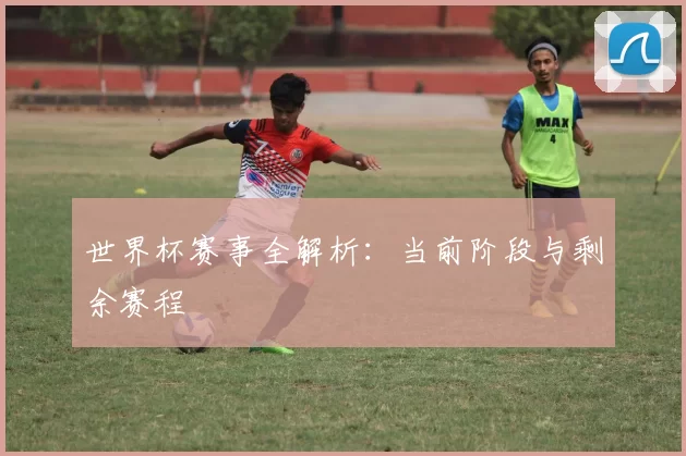 世界杯赛事全解析:当前阶段与剩余赛程