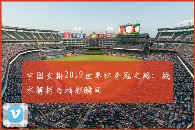 中国女排2019世界杯夺冠之路:战术解析与精彩瞬间