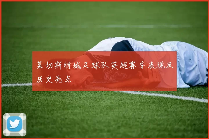 莱切斯特城足球队英超赛季表现及历史亮点
