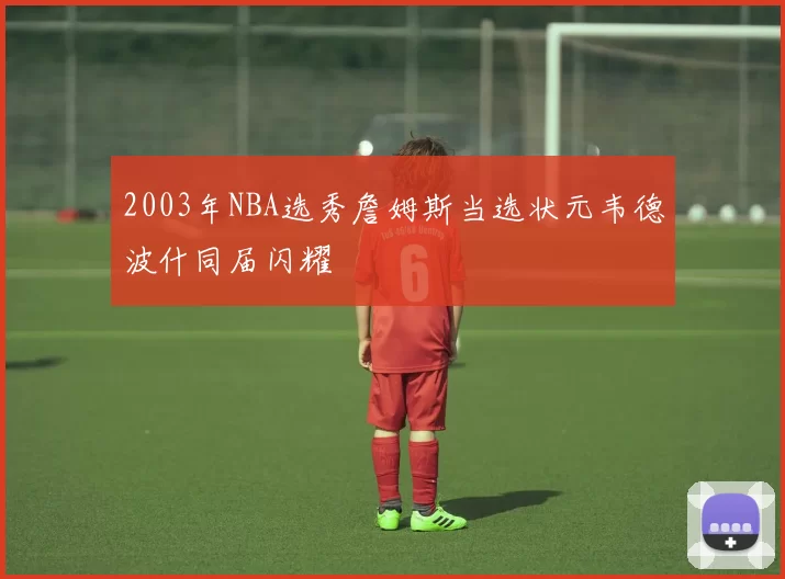 2003年NBA选秀詹姆斯当选状元韦德波什同届闪耀