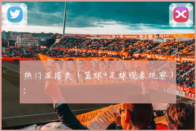 热门混搭类(篮球+足球现象观察):