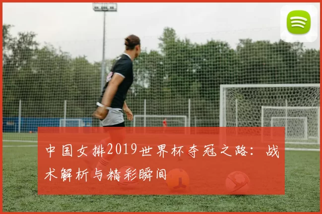 中国女排2019世界杯夺冠之路:战术解析与精彩瞬间