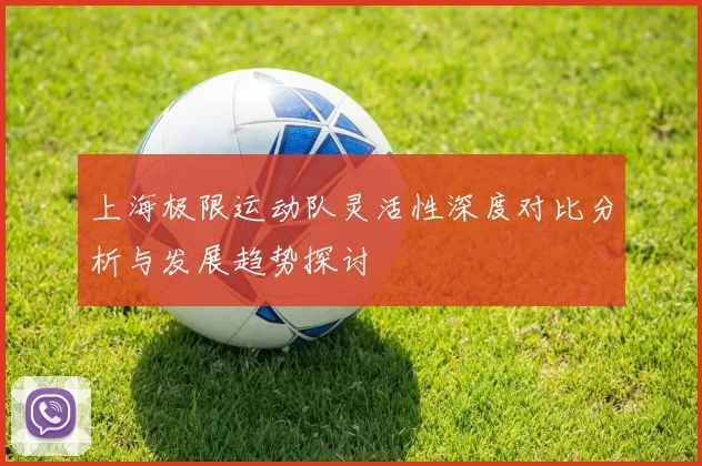 上海极限运动队灵活性深度对比分析与发展趋势探讨