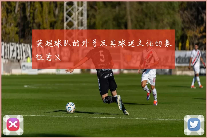 英超球队的外号及其球迷文化的象征意义