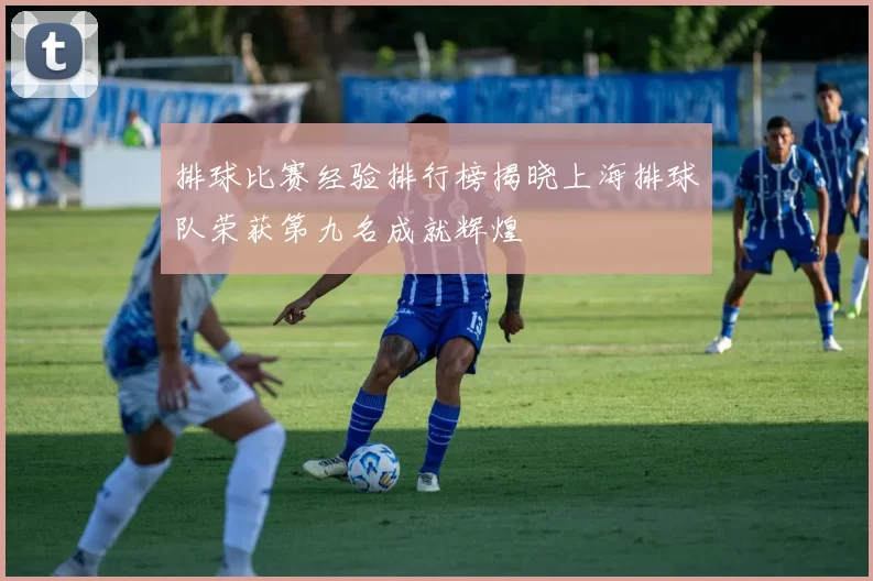 排球比赛经验排行榜揭晓上海排球队荣获第九名成就辉煌