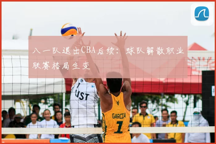 八一队退出CBA后续：球队解散职业联赛格局生变