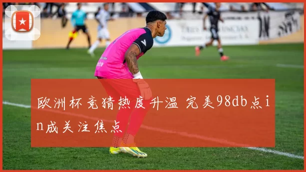 欧洲杯竞猜热度升温 完美98db点in成关注焦点