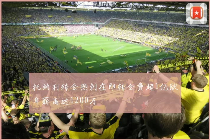 托纳利转会热刺在即转会费超1亿欧年薪高达1200万