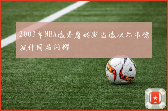 2003年NBA选秀詹姆斯当选状元韦德波什同届闪耀